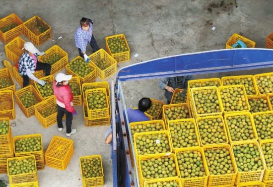 �_�h�� �ؔ·